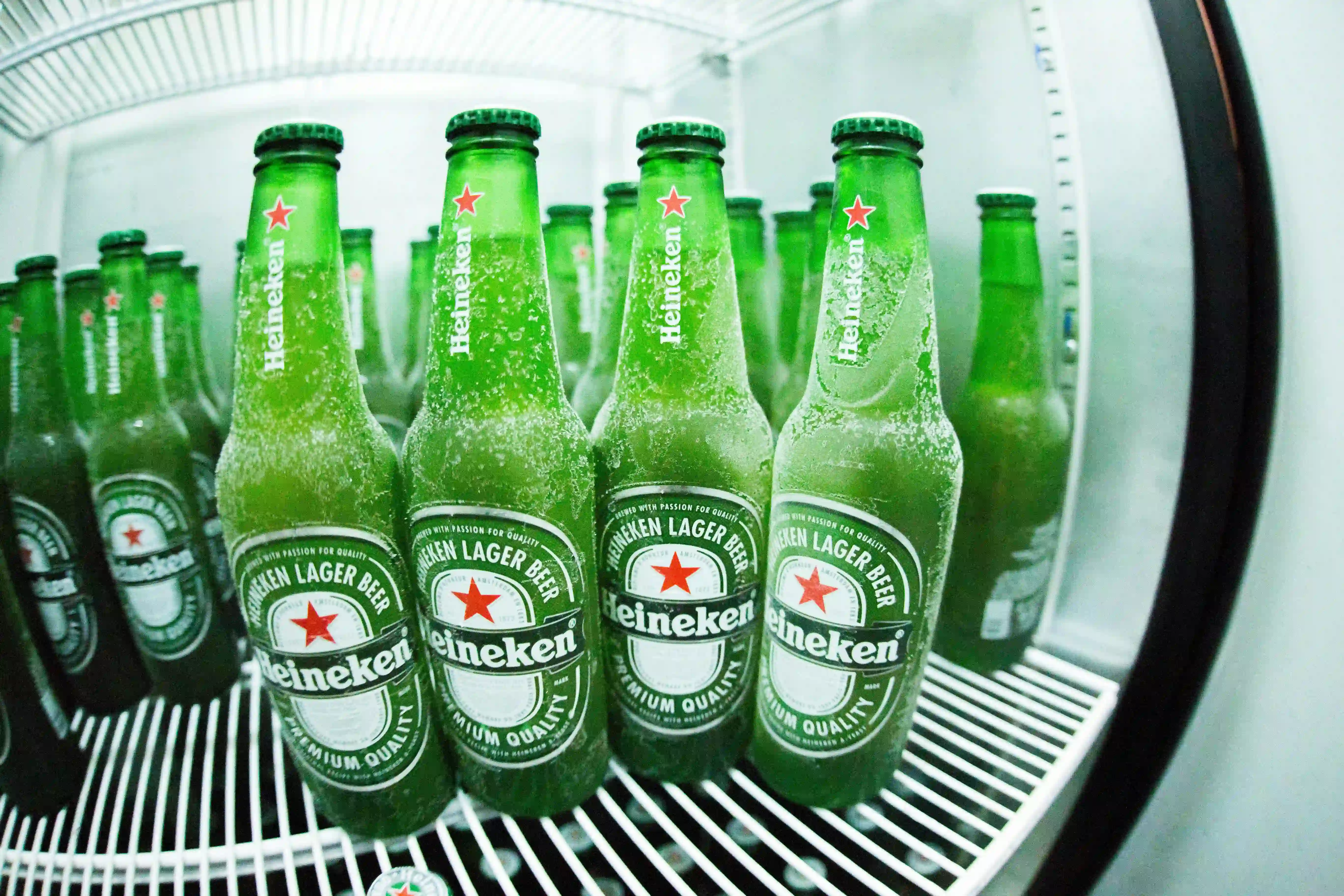 Premium Heineken Beer at Evolution Liquor Store in Edmonton
